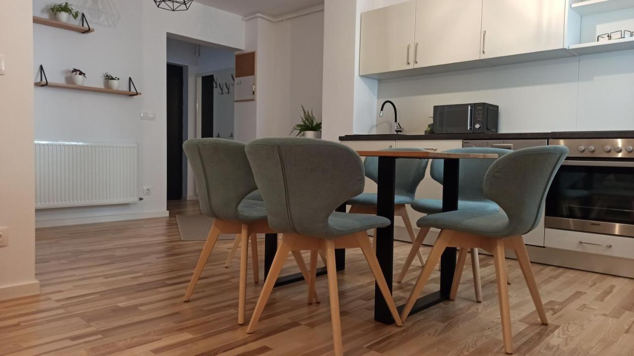 Chrysanthemum Apartment Сигишоара Екстериор снимка