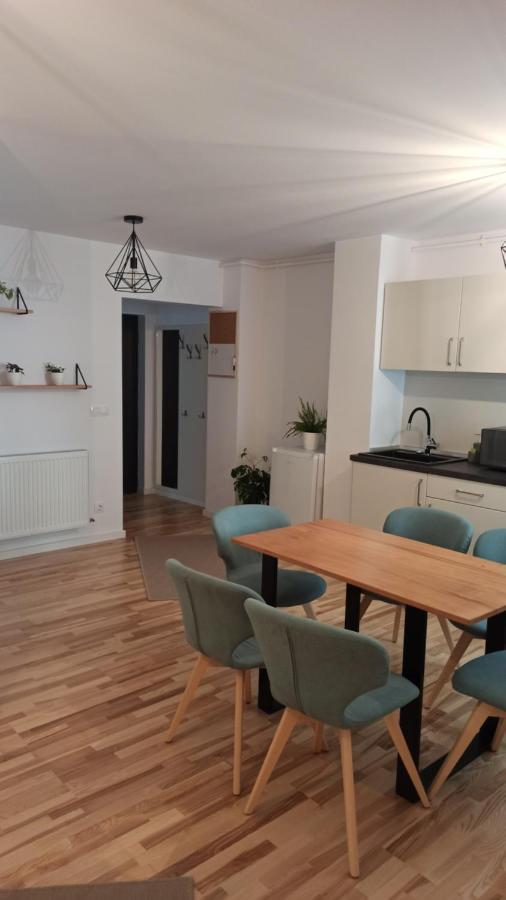 Chrysanthemum Apartment Сигишоара Екстериор снимка