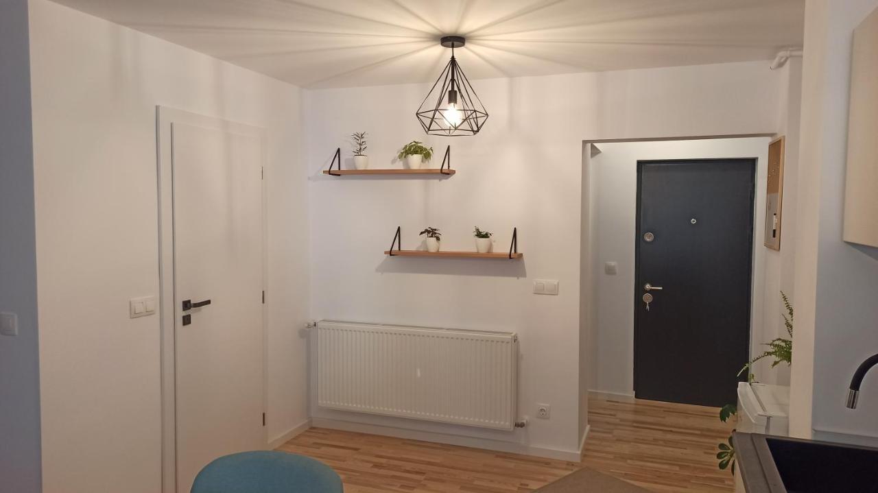 Chrysanthemum Apartment Сигишоара Екстериор снимка