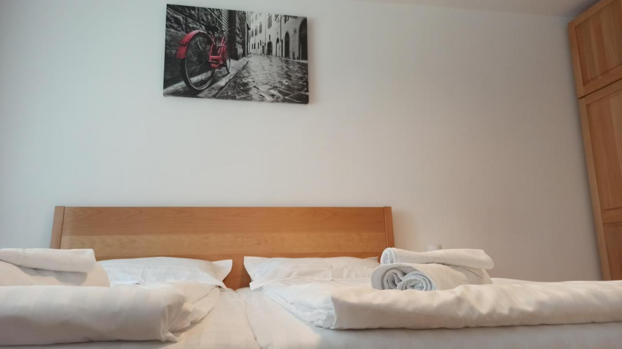 Chrysanthemum Apartment Сигишоара Екстериор снимка
