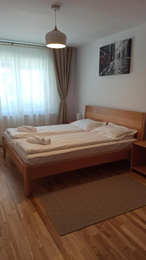 Chrysanthemum Apartment Сигишоара Екстериор снимка