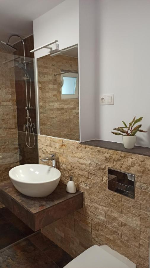 Chrysanthemum Apartment Сигишоара Екстериор снимка