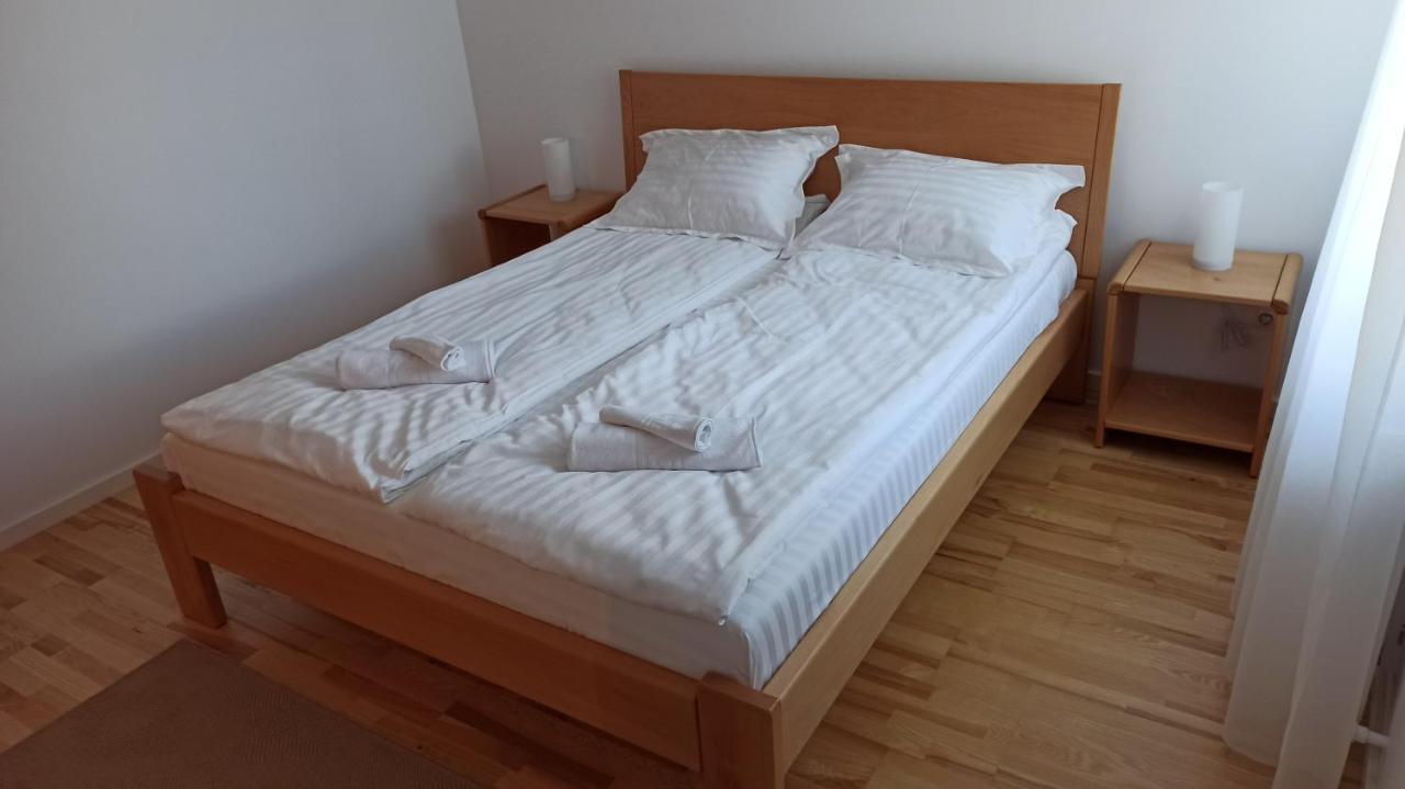 Chrysanthemum Apartment Сигишоара Екстериор снимка