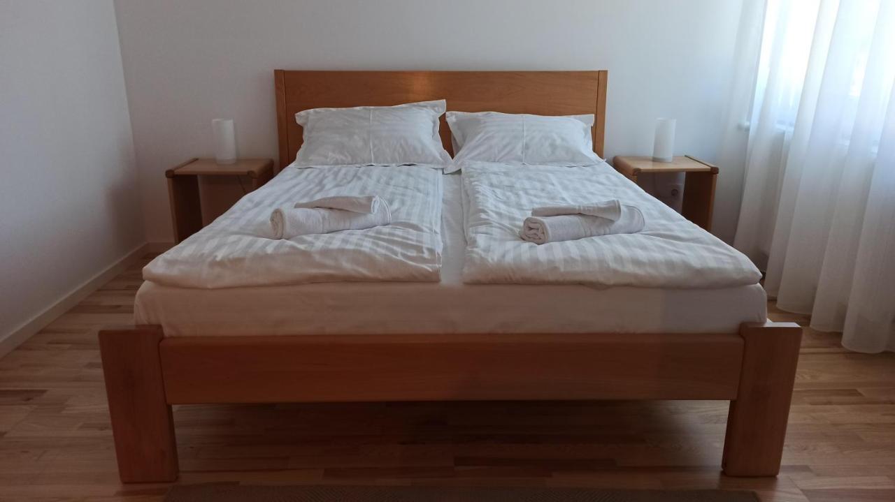 Chrysanthemum Apartment Сигишоара Екстериор снимка