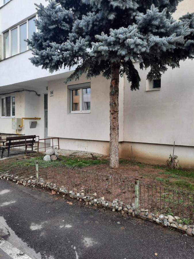 Chrysanthemum Apartment Сигишоара Екстериор снимка