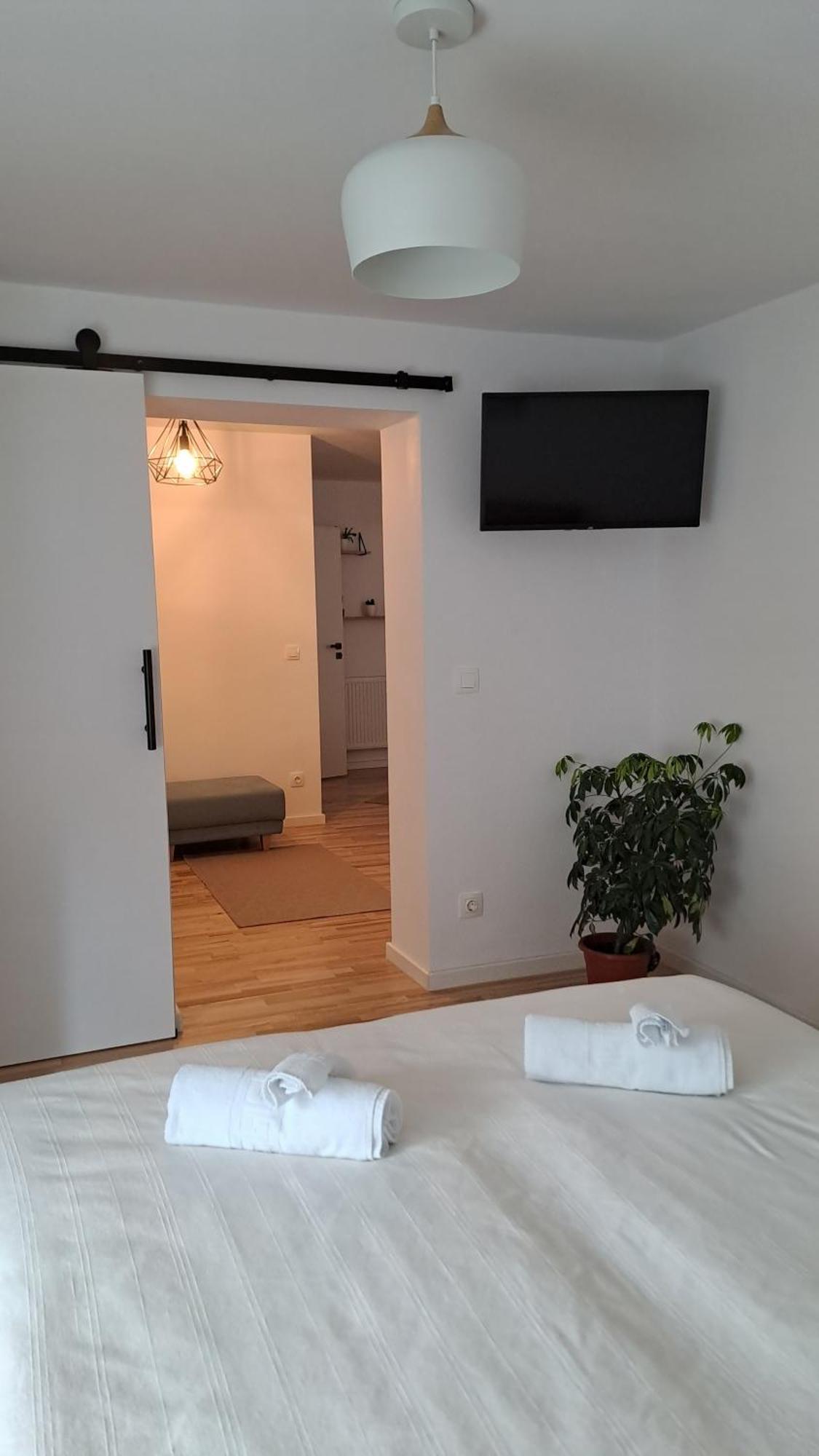 Chrysanthemum Apartment Сигишоара Екстериор снимка