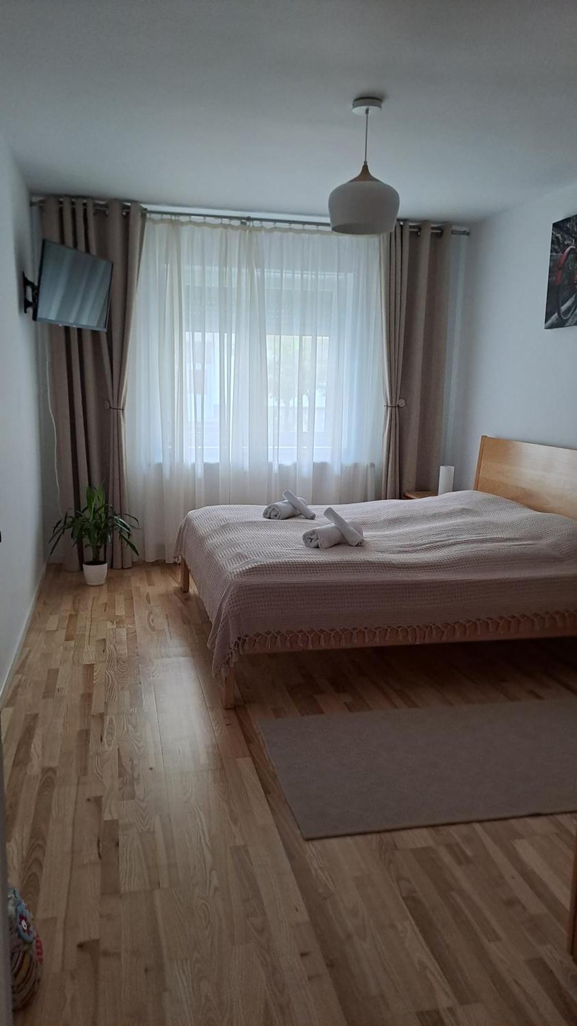 Chrysanthemum Apartment Сигишоара Екстериор снимка