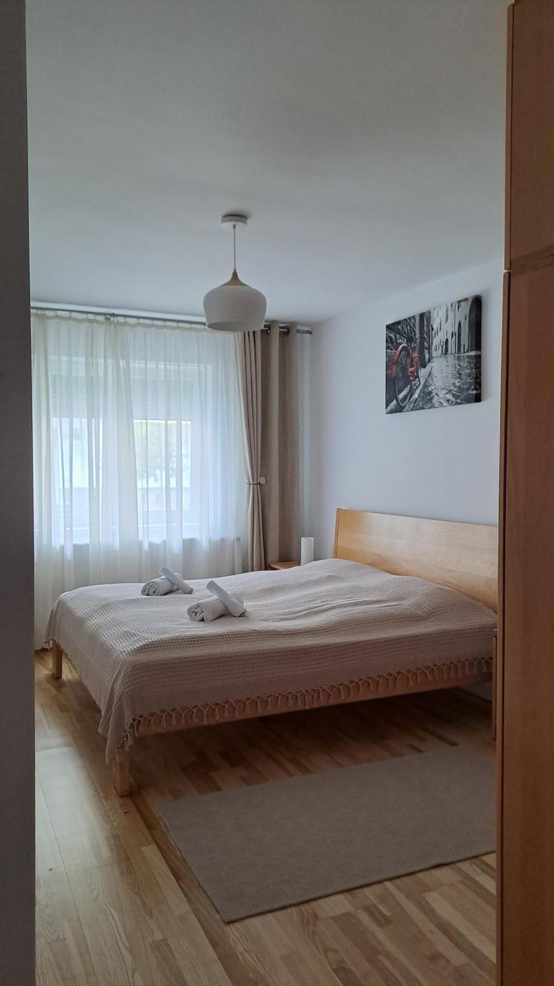 Chrysanthemum Apartment Сигишоара Екстериор снимка