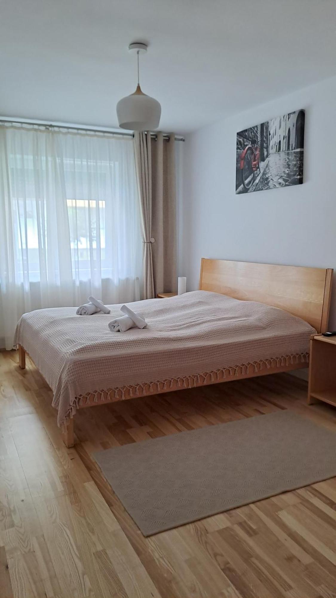 Chrysanthemum Apartment Сигишоара Екстериор снимка
